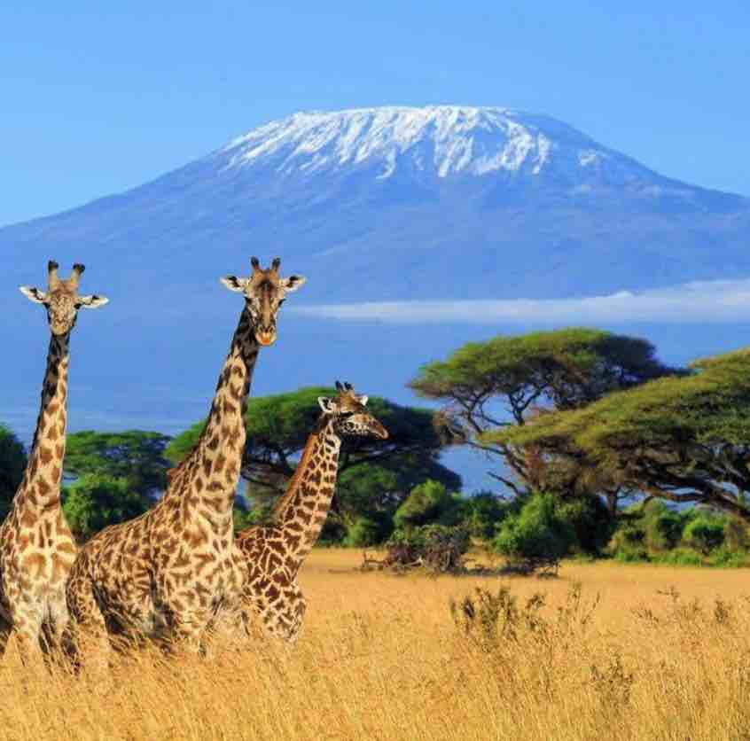 Kili Tanzania